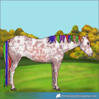Horse Color:Painted Watercolor Chestnut Ice