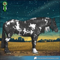 Horse Color:White Spotted Black Snowflake Varnish 