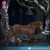 Horse Color:Gray Chestnut 