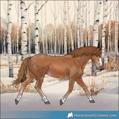 Horse Color:Chestnut 