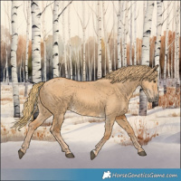 Horse Color:Red Dun 