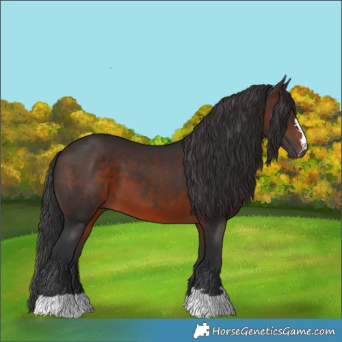 Horse Color:Brown 
