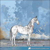 Horse Color:Brown Sabino Near Leopard