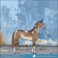 Horse Color:Liver Red Dun Tobiano Rabicano