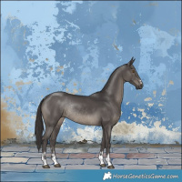 Horse Color:Smoky Black Rabicano