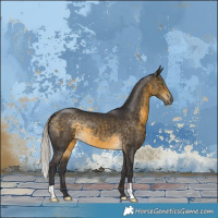 Horse Color:Silver Buckskin 