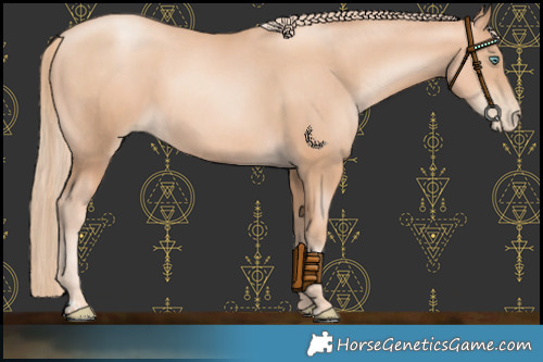 Horse Color:Gold Champagne Pearl Rabicano  and Gold Champagne Pearl Rabicano 