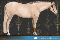 Horse Color:Gold Champagne Pearl Rabicano  and Gold Champagne Pearl Rabicano 