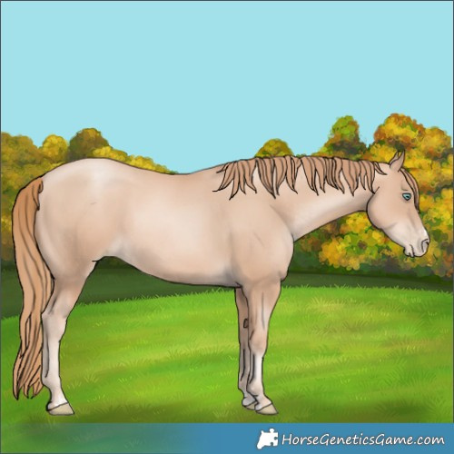 Horse Color:Gold Champagne Pearl Rabicano  and Gold Champagne Pearl Rabicano 