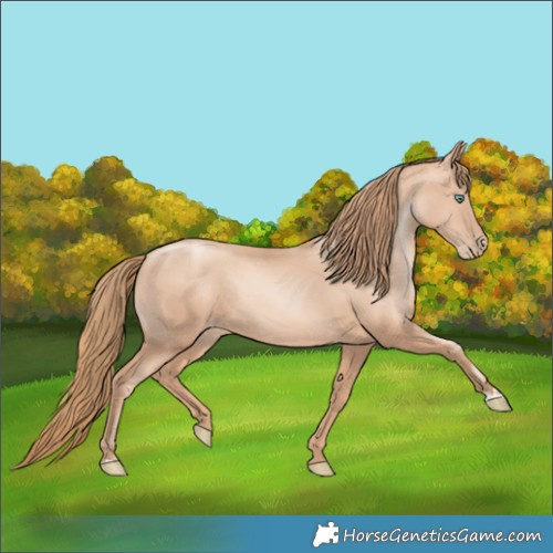 Horse Color:Gold Champagne Pearl Rabicano  and Gold Champagne Pearl Rabicano 