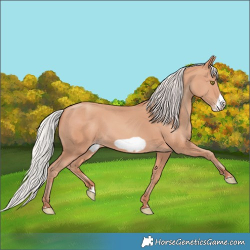 Horse Color:Silver Amber Champagne Frame 