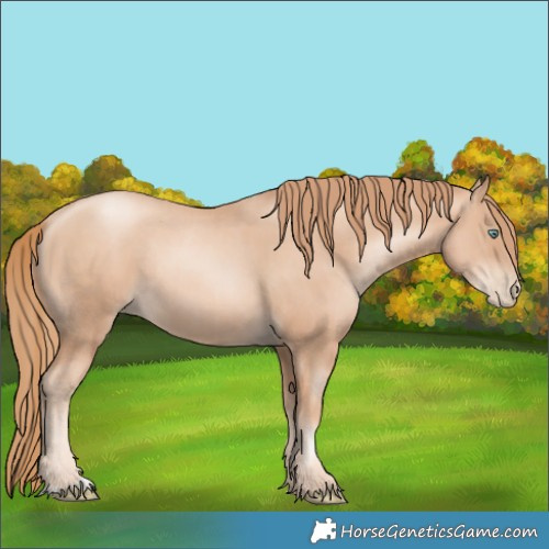 Horse Color:Gold Champagne Pearl Rabicano  and Gold Champagne Pearl Rabicano 