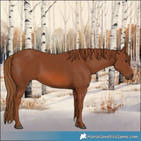 Horse Color:Chestnut 