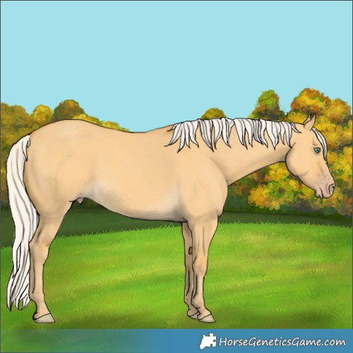 Horse Color:Silver Amber Cream Champagne Dun