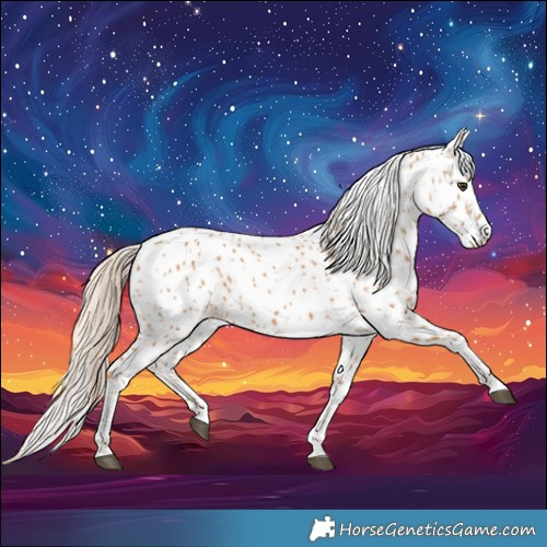 Horse Color:Chestnut Leopard 