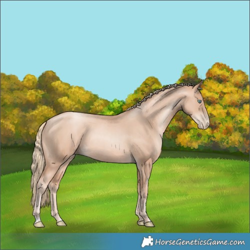 Horse Color:Gold Champagne Pearl Rabicano  and Gold Champagne Pearl Rabicano 
