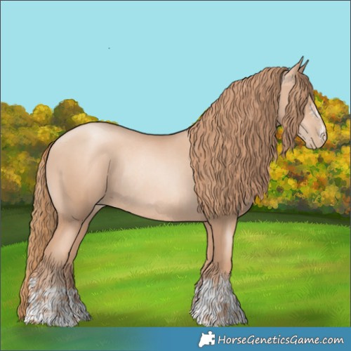 Horse Color:Gold Champagne Pearl Rabicano  and Gold Champagne Pearl Rabicano 