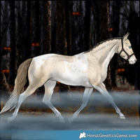 Horse Color:Bay Snowdrop Pearl Dun Tobiano Varnish Rabicano