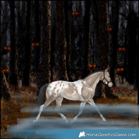 Horse Color:White Spotted Brown Dun Tobiano Blanket Rabicano 