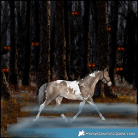 Horse Color:White Spotted Brown Dun Tobiano Rabicano 