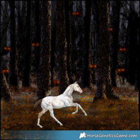 Horse Color:Bay Snowdrop Pearl Dun Tobiano Appaloosa Rabicano 