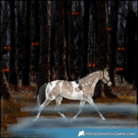 Horse Color:White Spotted Brown Dun Tobiano Rabicano 