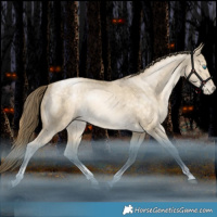 Horse Color:Bay Snowdrop Pearl Dun Tobiano Rabicano 