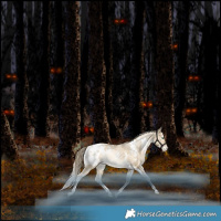 Horse Color:White Spotted Chocolate Brown Snowdrop Pearl Dun Appaloosa Rabicano