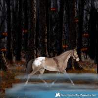 Horse Color:Liver Red Dun Tobiano Snowcap Rabicano 