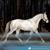 Horse Color:White Spotted Bay Snowdrop Pearl Dun Tobiano Rabicano 