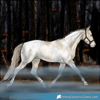 Horse Color:White Spotted Bay Snowdrop Pearl Dun Tobiano Appaloosa Rabicano