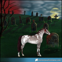 Horse Color:Platinum White Spotted Chocolate Brown Dun Mushroom Appaloosa Rabicano