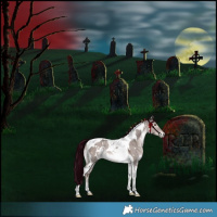 Horse Color:Platinum White Spotted Liver Red Dun Tobiano Rabicano 