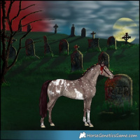 Horse Color:Platinum White Spotted Chocolate Grullo Tobiano Appaloosa Rabicano