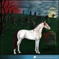 Horse Color:White Spotted Bay Pearl Dun Tobiano Snowcap Rabicano 