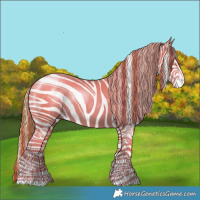 Horse Color:Gold Champagne Pearl Rabicano  and Gold Champagne Pearl Rabicano 