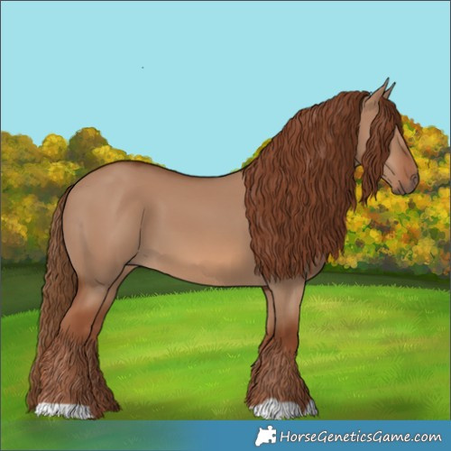 Horse Color:Red Dun 