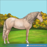 Horse Color:Gold Champagne Pearl Rabicano  and Gold Champagne Pearl Rabicano 