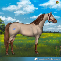 Horse Color:Red Dun 