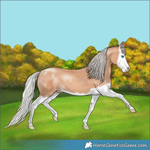 Horse Color:Silver Sable Champagne Splash