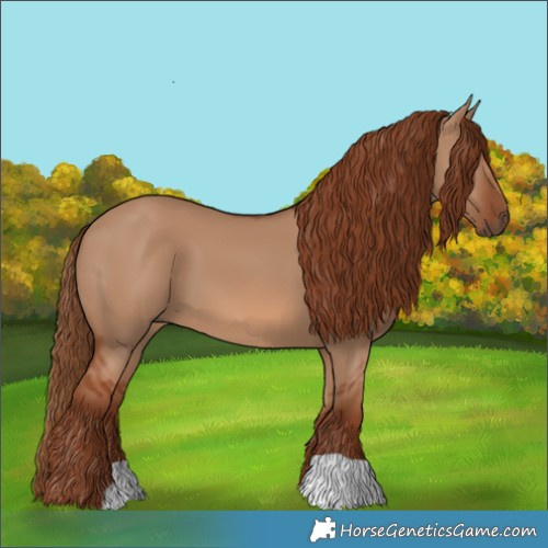 Horse Color:Red Dun 