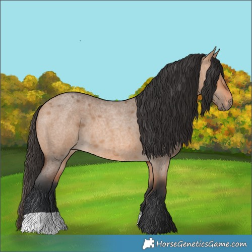 Horse Color:Brown Roan Dun 