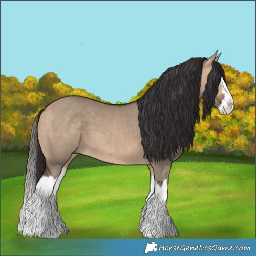 Horse Color:Bay Dun Splash 