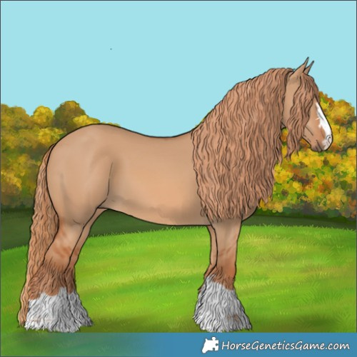 Horse Color:Red Dun 