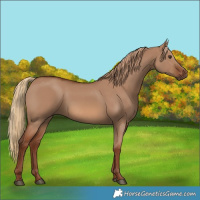 Horse Color:Red Dun 