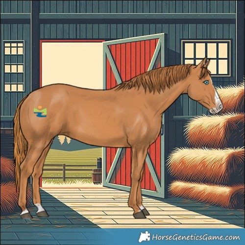 Horse Color:Chestnut Splash 