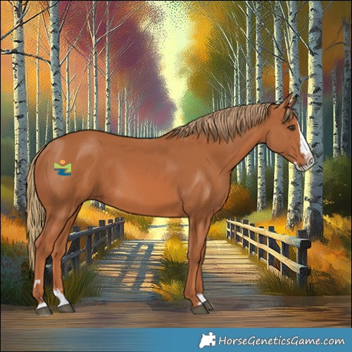 Horse Color:Chestnut Splash 