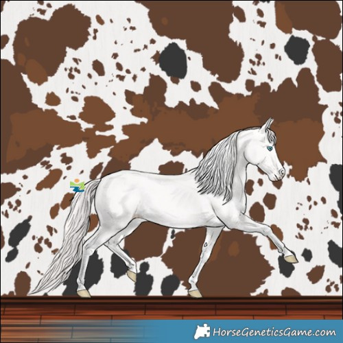Horse Color:Smoky Creme Tobiano 