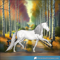 Horse Color:Smoky Creme Tobiano 