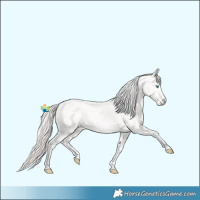 Horse Color:Smoky Creme Tobiano 